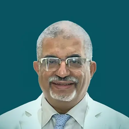 Hisham Elanani